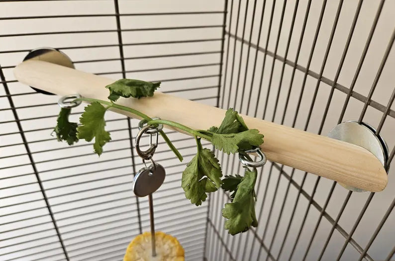 Corner Perch Bundle (2pcs) - Pet Cage Accessories