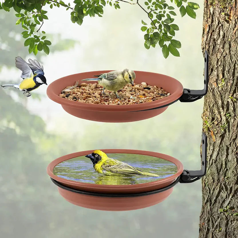 Bird Bath